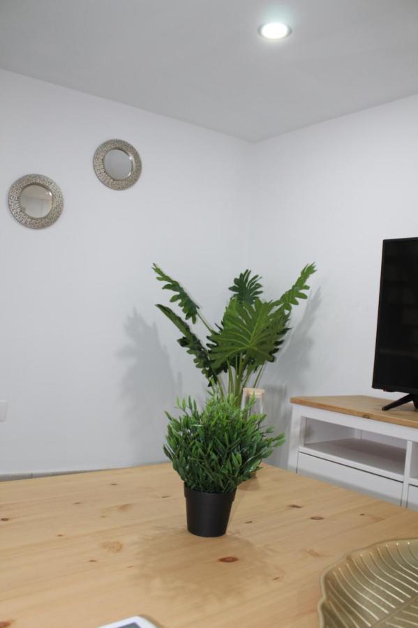 לאס פאלמס דה גראן קנאריה Apartamentos Los Nidillos מראה חיצוני תמונה